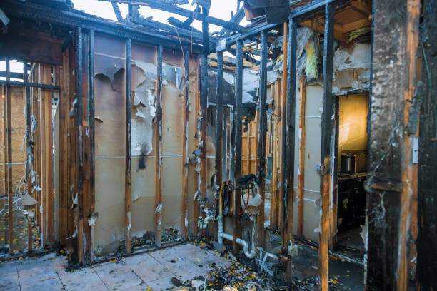 Professional Structural Rebuild technician working in Cockeysville, MD